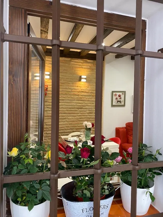 Don Quijote Apartment Toledo